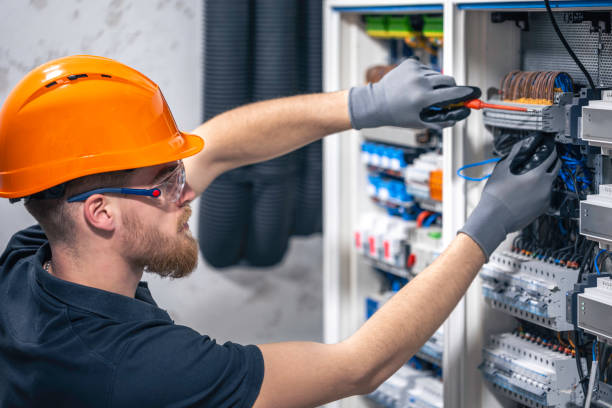 Best Electrical Upgrades for Homes  in Portage, MI